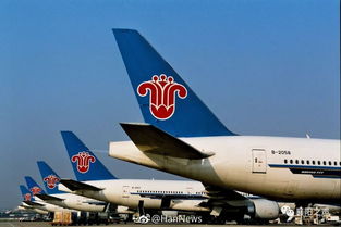 襄陽青年請注意 南方航空招飛啟動，翱翔藍天夢想觸手可及